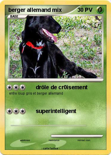Pokemon berger allemand mix