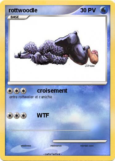 Pokemon rottwoodle