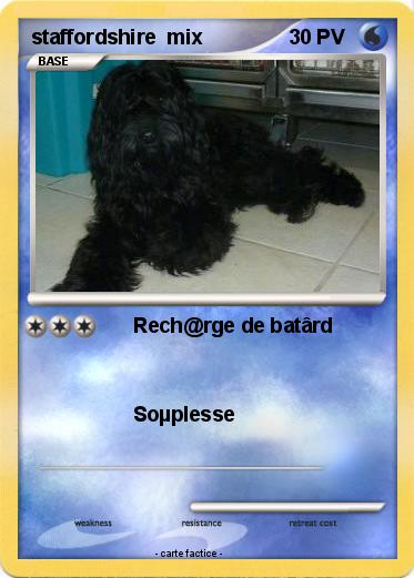 Pokemon staffordshire  mix