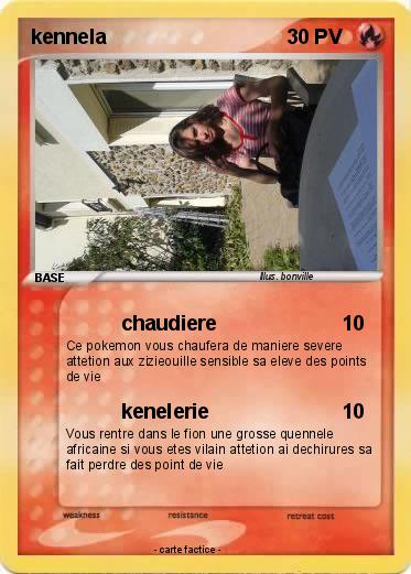 Pokemon kennela