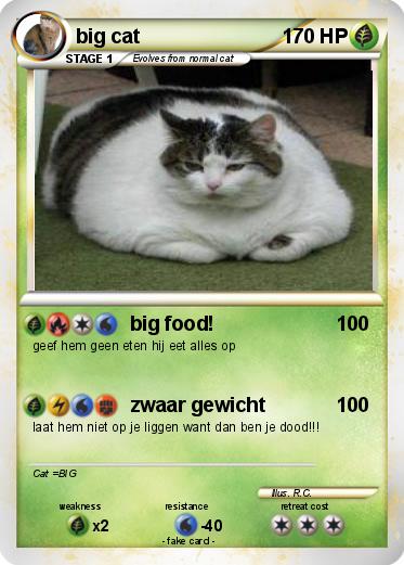 Pokemon big cat