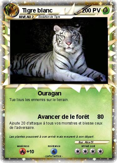 Pokemon Tigre blanc