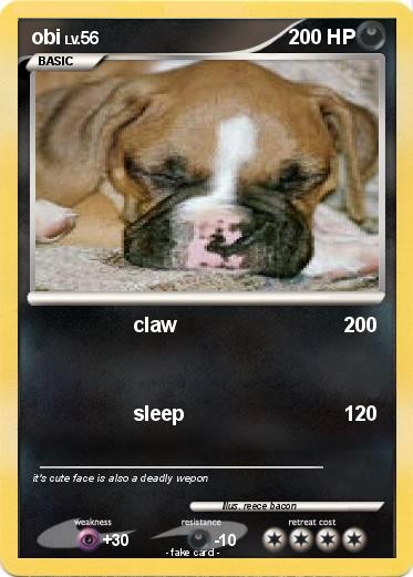 Pokemon obi