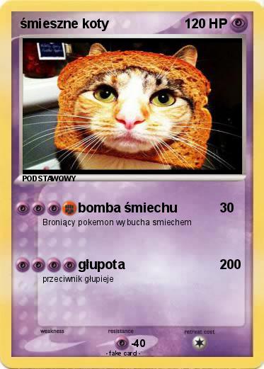 Pokemon śmieszne koty