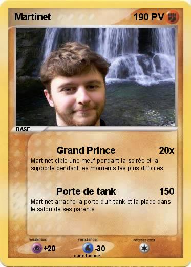 Pokemon Martinet