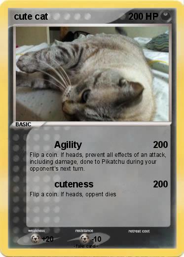 Pokemon cute cat