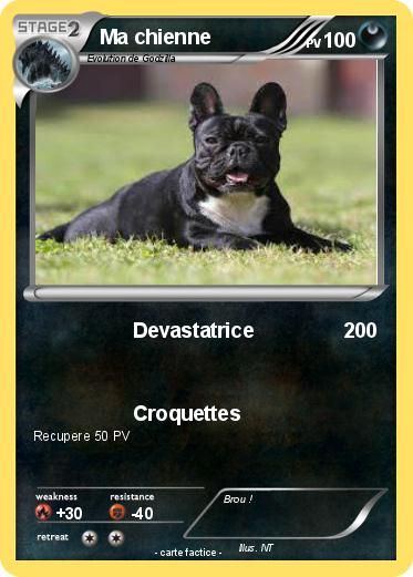 Pokemon Ma chienne