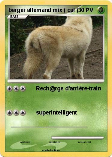 Pokemon berger allemand mix ( cµl )