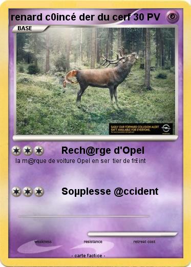 Pokemon renard c0incé der du cerf
