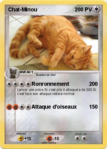 Pokemon Chat-Minou