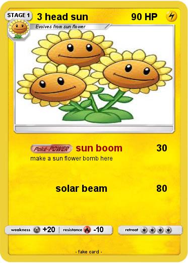 Pokemon 3 head sun