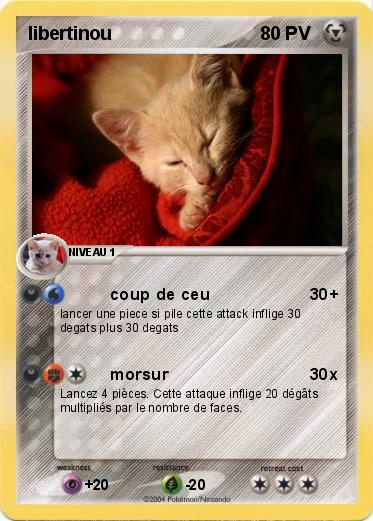 Pokemon libertinou