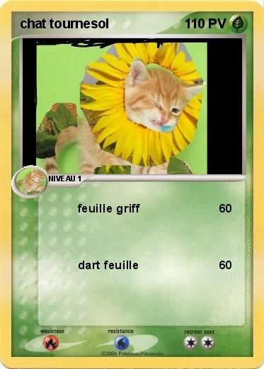Pokemon chat tournesol