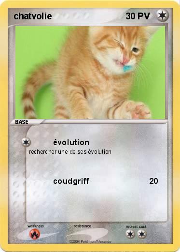 Pokemon chatvolie
