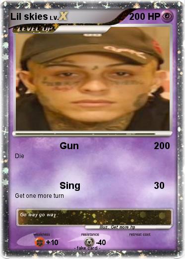 Pokemon Lil skies