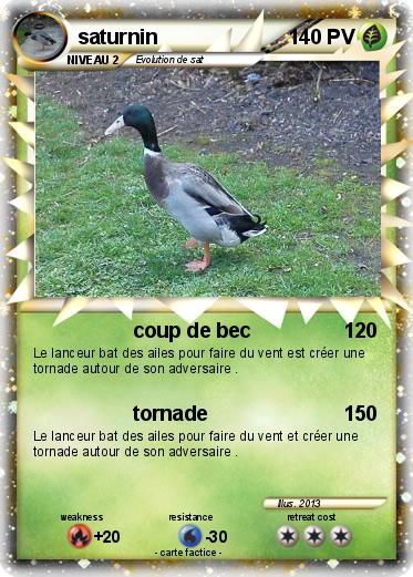 Pokemon saturnin