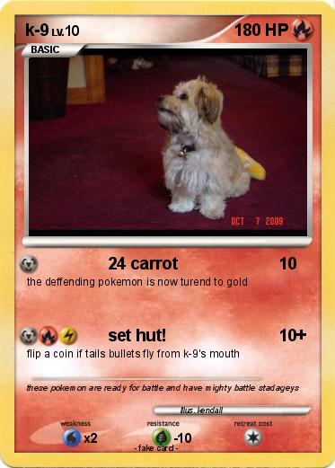 Pokemon k-9