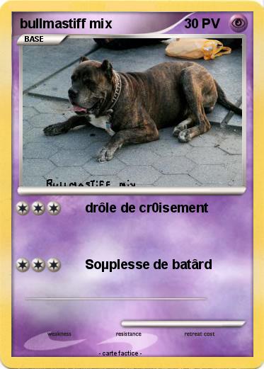 Pokemon bullmastiff mix
