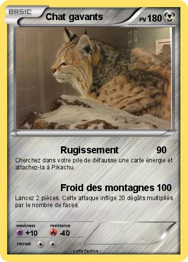 Pokemon Chat gavants