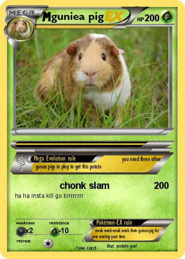 Pokemon guniea pig