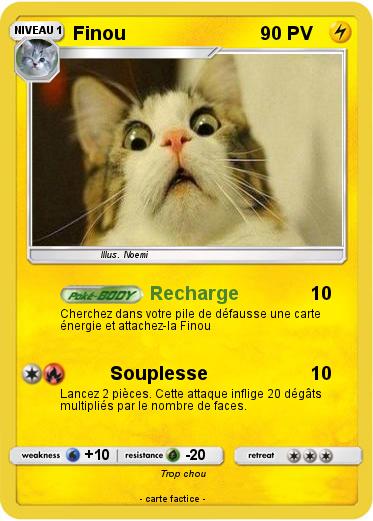 Pokemon Finou