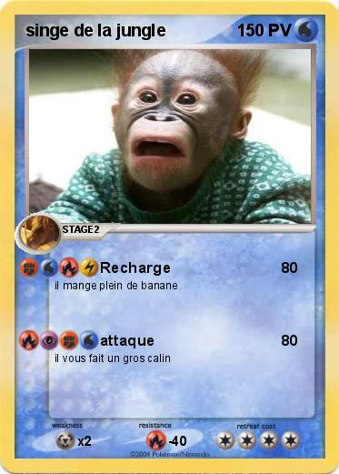 Pokemon singe de la jungle