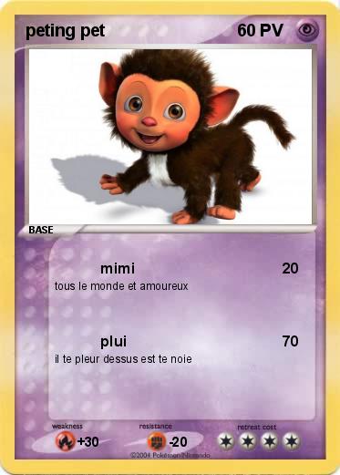 Pokemon peting pet