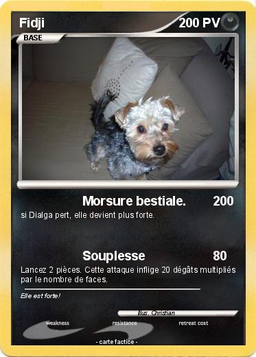 Pokemon Fidji