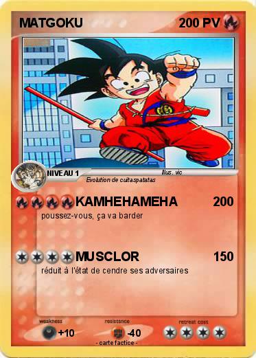 Pokemon MATGOKU
