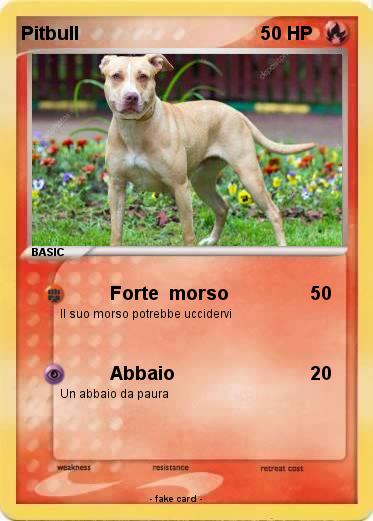 Pokemon Pitbull