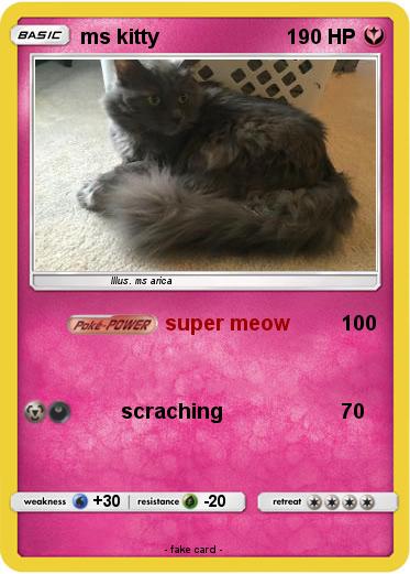 Pokemon ms kitty