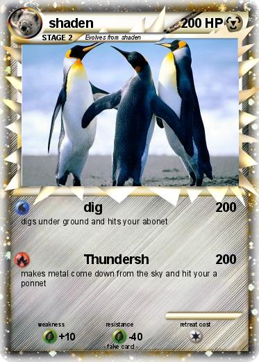 Pokemon shaden