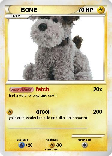 Pokemon BONE