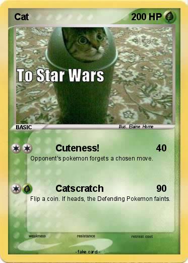 Pokemon Cat