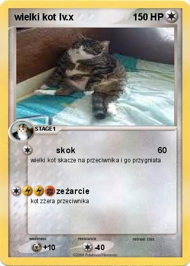 Pokemon wielki kot lv.x