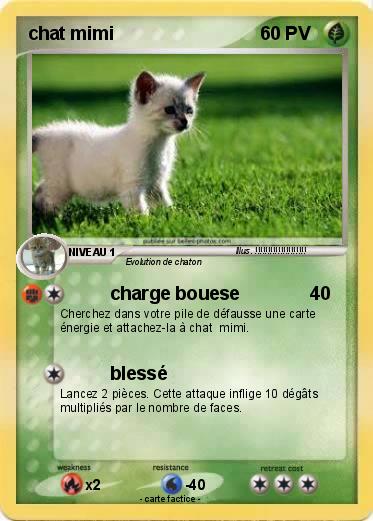 Pokemon chat mimi
