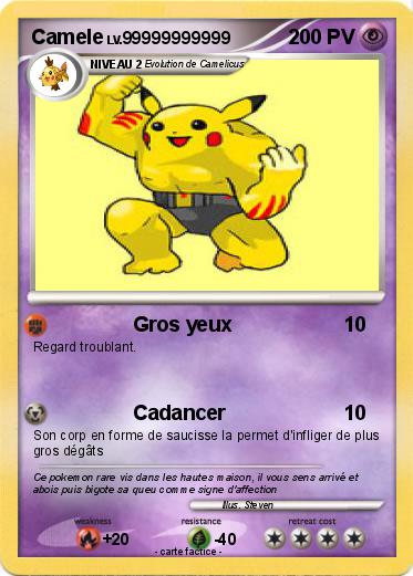 Pokemon Camele