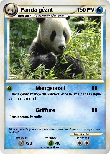 Pokemon Panda géant