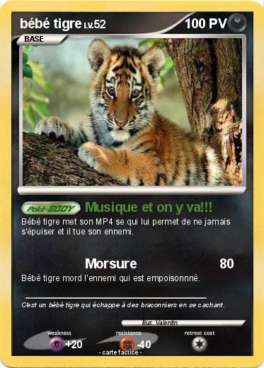 Pokemon bébé tigre