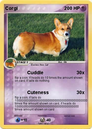 Pokemon Corgi