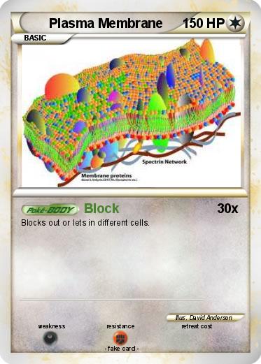 Pokemon Plasma Membrane