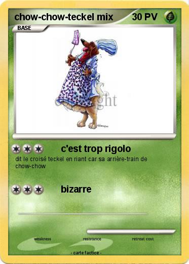 Pokemon chow-chow-teckel mix