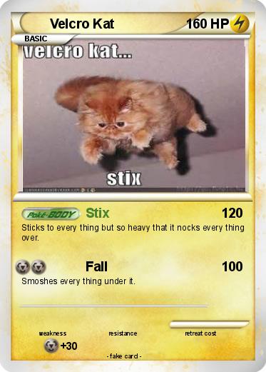 Pokemon Velcro Kat