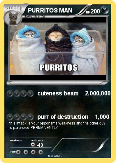 Pokemon PURRITOS MAN