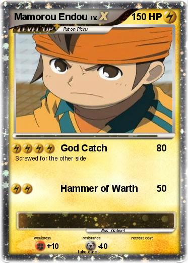 Pokemon Mamorou Endou
