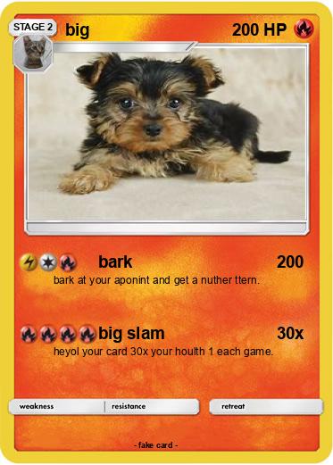 Pokemon big
