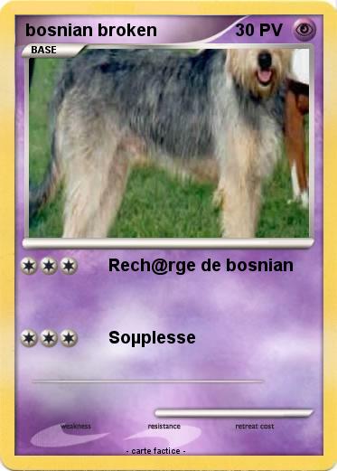 Pokemon bosnian broken