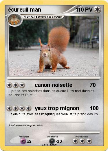 Pokemon écureuil man