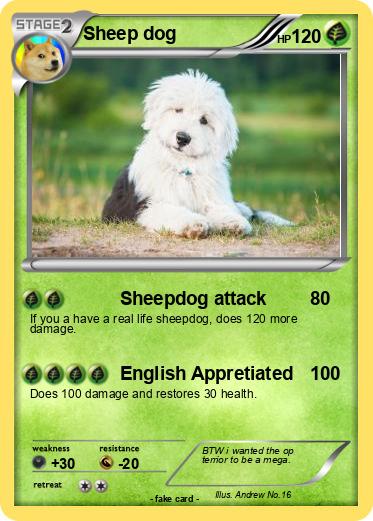Pokemon Sheep dog