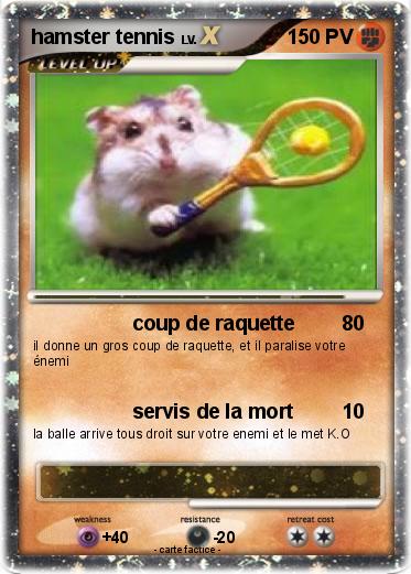 Pokemon hamster tennis
